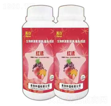 ����̼��أ��n����ɫ����-�t�T-�ƴ�����