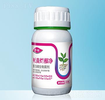 ���砀����-����-�����S