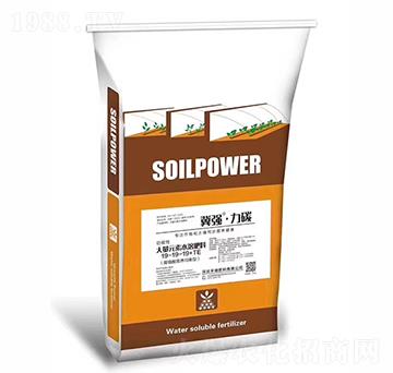 大量元素水溶肥19-19-19+TE-冀強(qiáng)·力碳-禾健