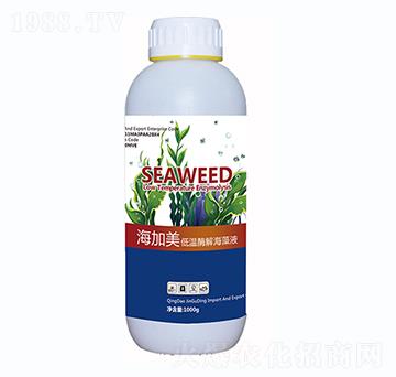 海加美·低溫酶解海藻液-金谷丁