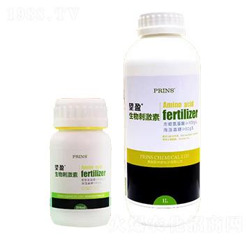 ��ӯ����̼���-Ӣ������˹