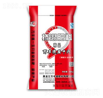 ���׌��Ó������23-10-12-�f�S��