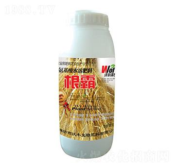 ����-���S���r(n��ng)-���S��