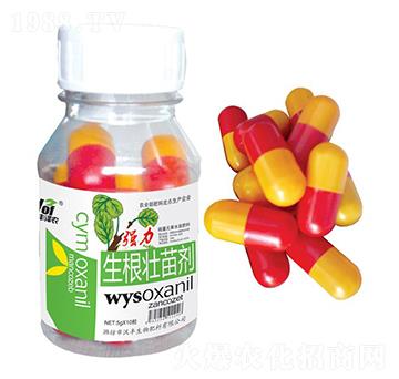 �����������焩-���S��