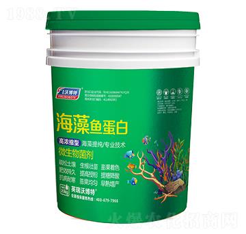 海藻魚蛋白（通用型）-英瑞沃博特