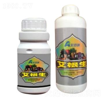 ƿ�b������-������