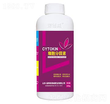 ��(x��)��������-�Z����