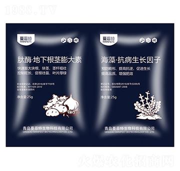 ���x�ӡ�������L(zh��ng)���v�