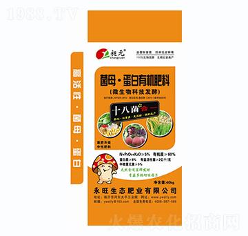 ��ĸ�������ЙC����-����