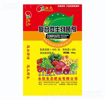 �ͺ�΢�������-����