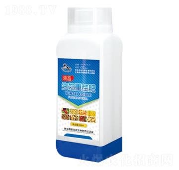 �����ز��-���_