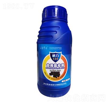 ʳ�þ���(zhu��n)��-����120-���_(t��i)