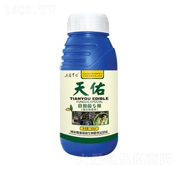 ����ʳ�þ���(zhu��n)��-���_(t��i)