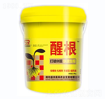 �Ѹ�-ʢ���߿�