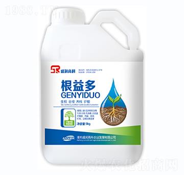 �����-ʢ���߿�