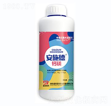 ��ʩ�¡��}�V-ʢ���߿�