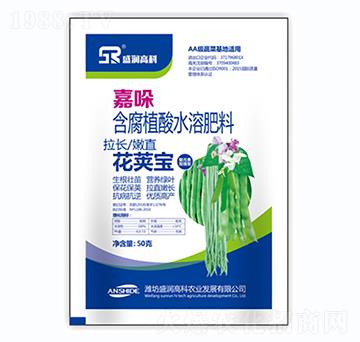 ����ֲ��ˮ�ܷ���-���v��-ʢ���߿�