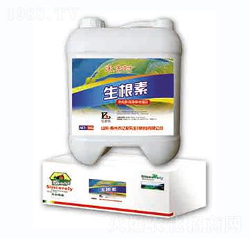 ������-����-�|�Ҙ�