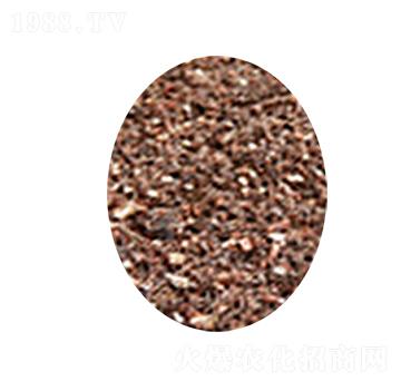 ���ܼ�ͥ�@ˇ���÷�-�s�S����