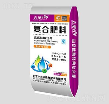 ������ø����ͺϷ���30-5-5-�����t