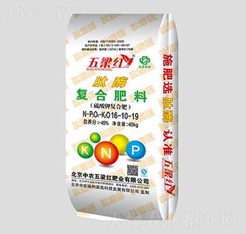 ��ø�ͺϷ���16-10-19-�����t