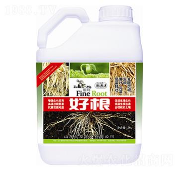 �ø�-�欔-�ʰl(f��)����