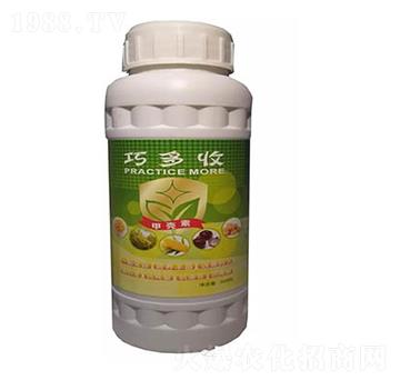 �ɶ��ռך���-�|������