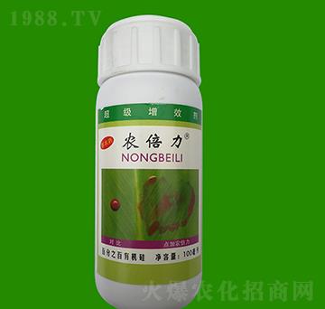 100ml�r����-Ӣ��