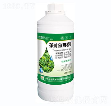 ���~��ѿ��-ʩ�۸�