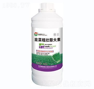 �²˴։������-ʩ�۸�