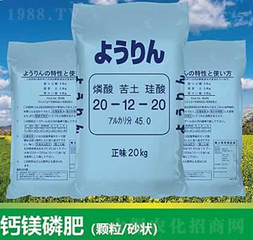 �}�V�׷�20-12-20-����ʘI(y��)