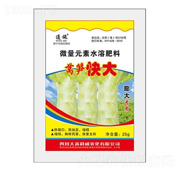 �n�S����΢��Ԫ��ˮ�ܷ���-�n�S���-ͨʩ-���ο���