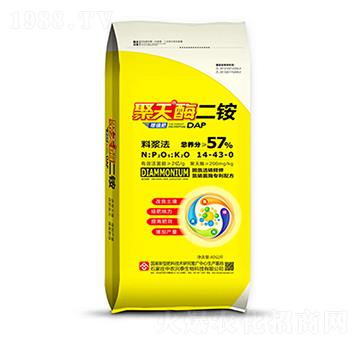 ����ø���@14-43-0-���r�d̩