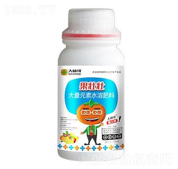 果壯壯（大量元素水溶肥料）-大柿哥