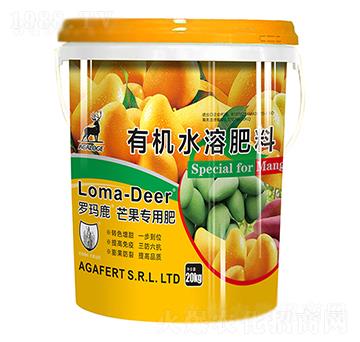 �_��¹â�����÷�-���L