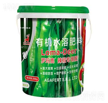 �_��¹�������÷�-���L