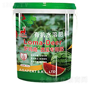 �_��¹���ό��÷�-���L