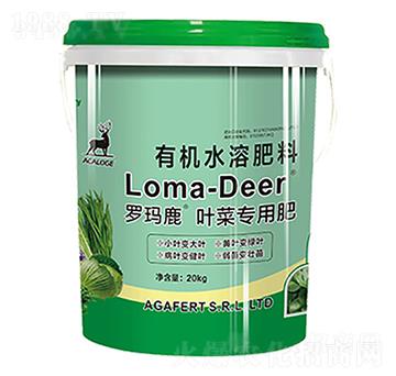 �_��¹�~�ˌ��÷�-���L