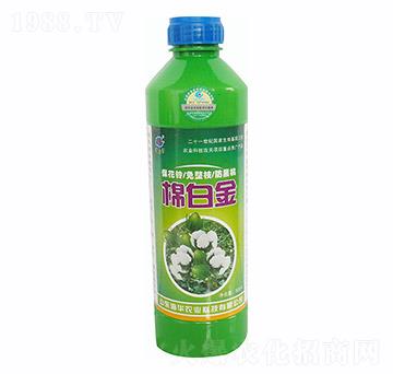 �ް׽�500ml-���A�r�I(y��)