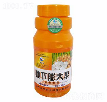 ���������-���A�r(n��ng)�I(y��)