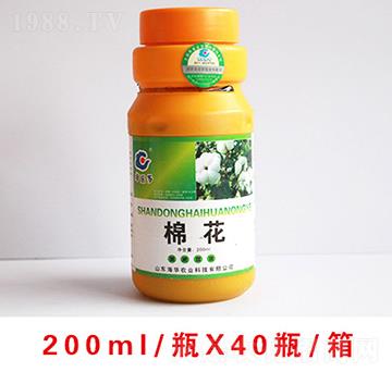 �޻�����250-���A�r(n��ng)�I(y��)