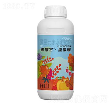 ׷Ψ�����w��-һ��