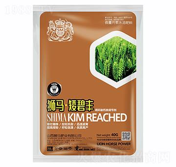 �{�R�����S40g-�{�R�ʘI(y��)