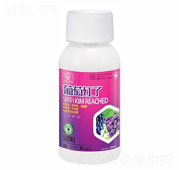 ���Ѽt��200ml-�{�R�ʘI(y��)