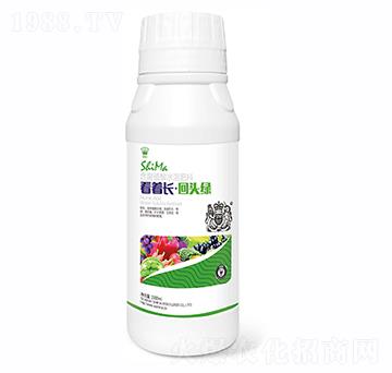 �����L���^�G1000ml-�{�R�ʘI(y��)