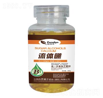 ���w��-�՝��S