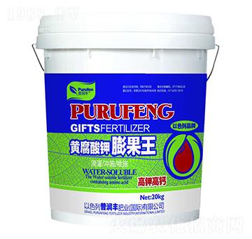 �S����������-�՝��S