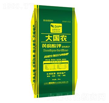 ���(gu��)�r(n��ng)�S�����-�՝�(r��n)�S