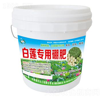 ��ɏ�������-���r(n��ng)����