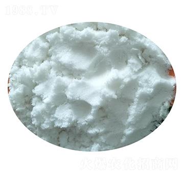 �����������@-��(sh��)�����B(t��i)